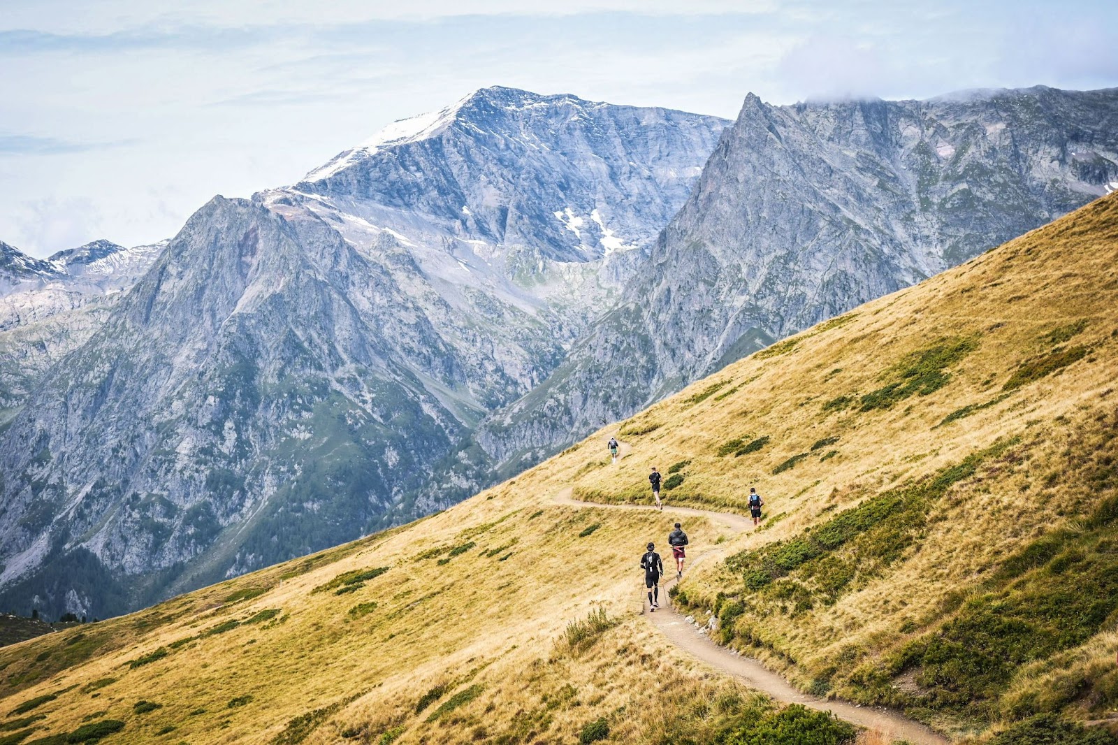 UTMB OCC